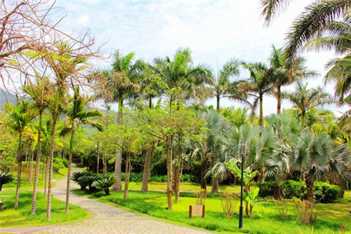 彭大锤煎饼果子
