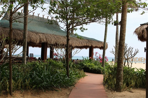 荷你有约荷叶饭