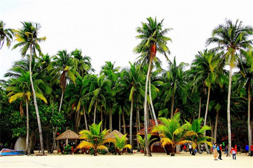 2025卸妆棉加盟店什么品牌还能做，卸妆棉生产视频