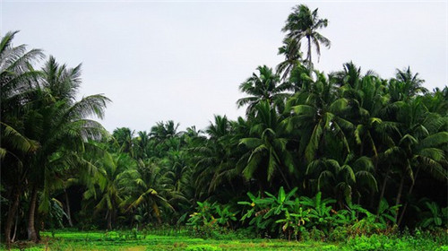 服装店创业三个月总结怎么写