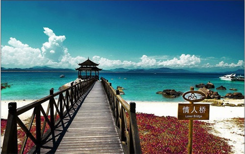 会同县有什么好的期货加盟品牌