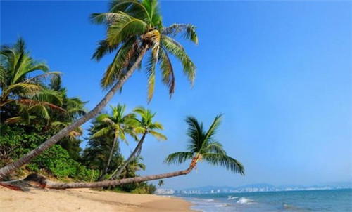 浙江传统火锅店设计，浙江连锁火锅店