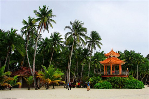 卖画的店创业方案怎样写