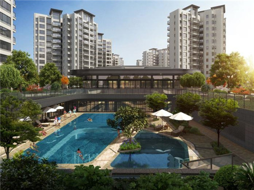 云南青椒炒猪肉做法（云南青椒炒猪肉做法视频）