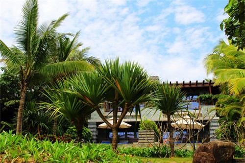 下雨了物业能做什么工作（下雨小区物业需要怎么做）