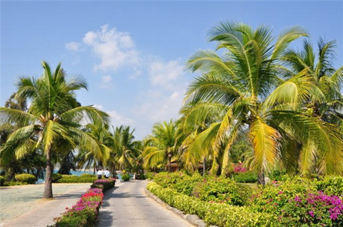 手链首饰店创业方向怎么写，首饰创业计划书怎么写