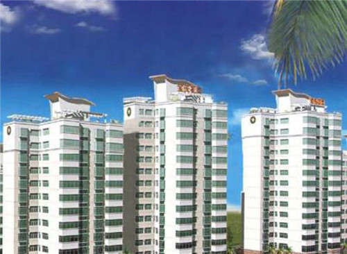 遗传科年终总结PPT（遗传室出科小结）